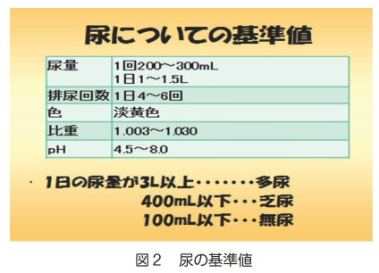 尿 蛋白 プラス マイナス