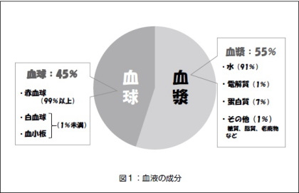 白血球 数 基準 値