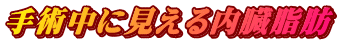 手術中に見える内臓脂肪