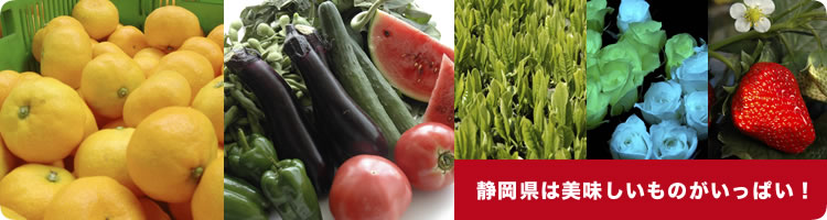 静岡県は美味しいものがいっぱい!